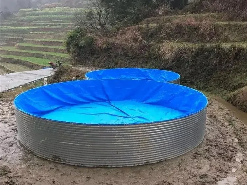 Biofloc tilapia tank export to japfa group