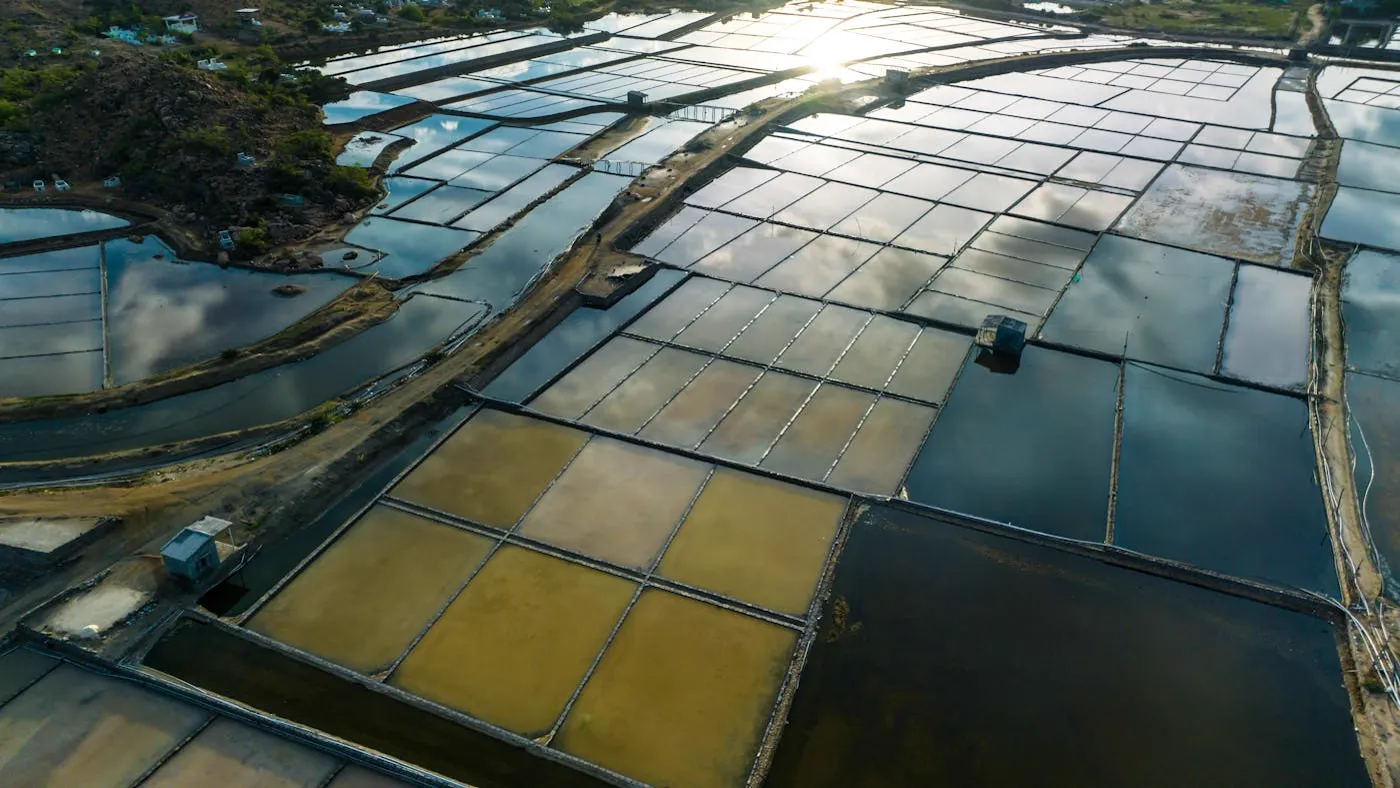 Water Quality & Fish Disease: Why Most Outbreaks Start in the Water