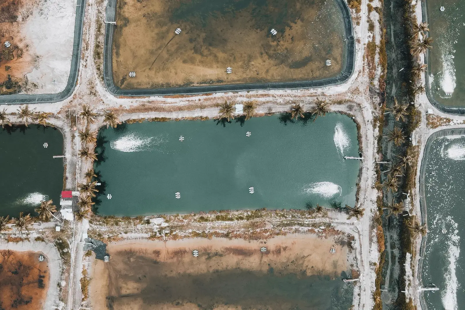 Biofloc Water Quality Management: C:N Ratio, Solids & Water Reuse