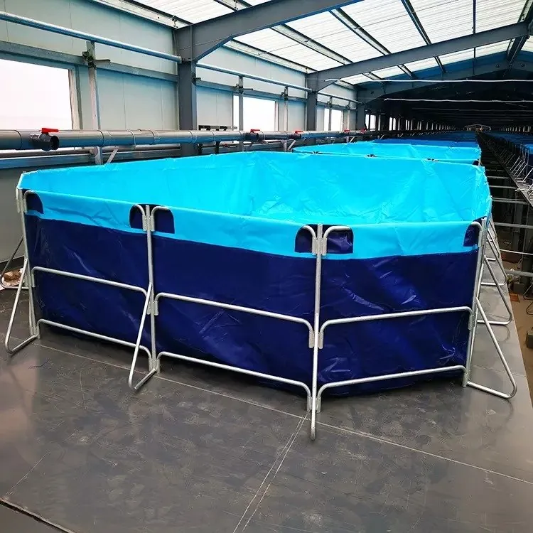 Rectangle aqua tank
