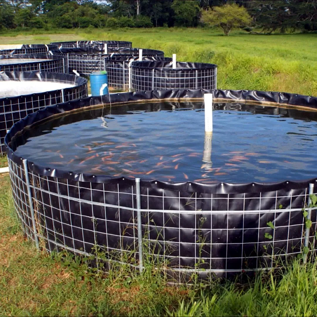 HDPE biofloc tank for intensive whiteleg shrimp farming