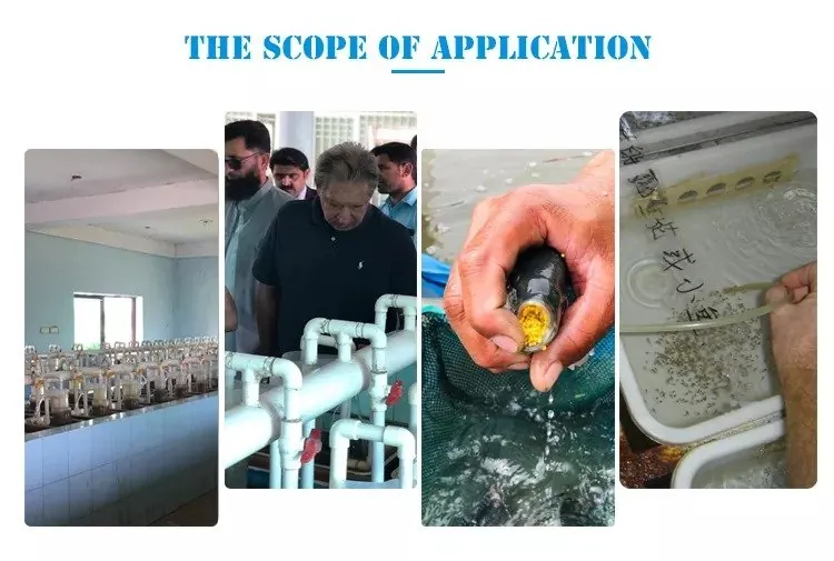 Fish egg hatchery incubator