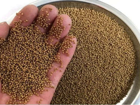 Catfish feed pellets for Clarias and Pangasius farming
