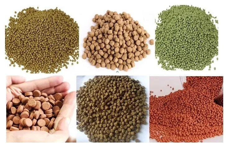 Fish shrimp feed