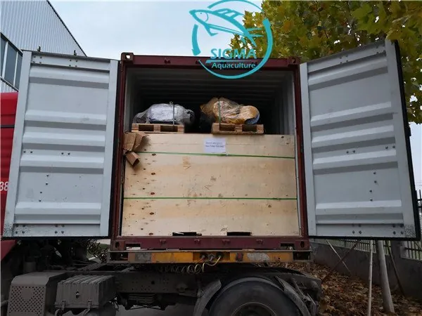 Fish tank export to malaysia