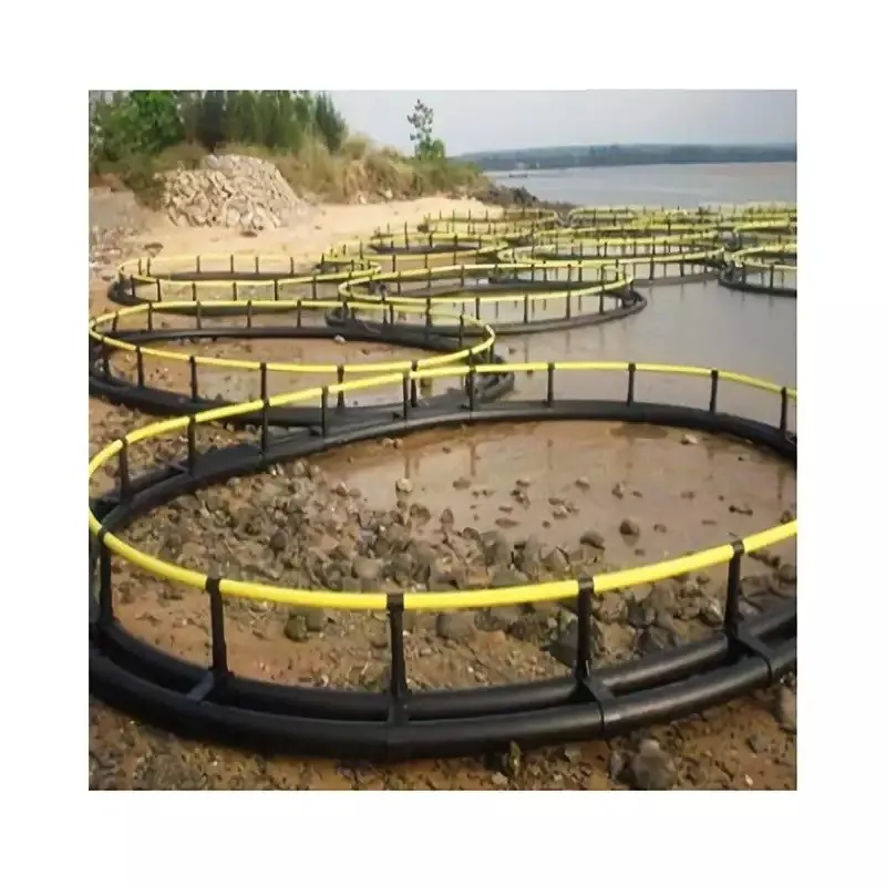 Float cage