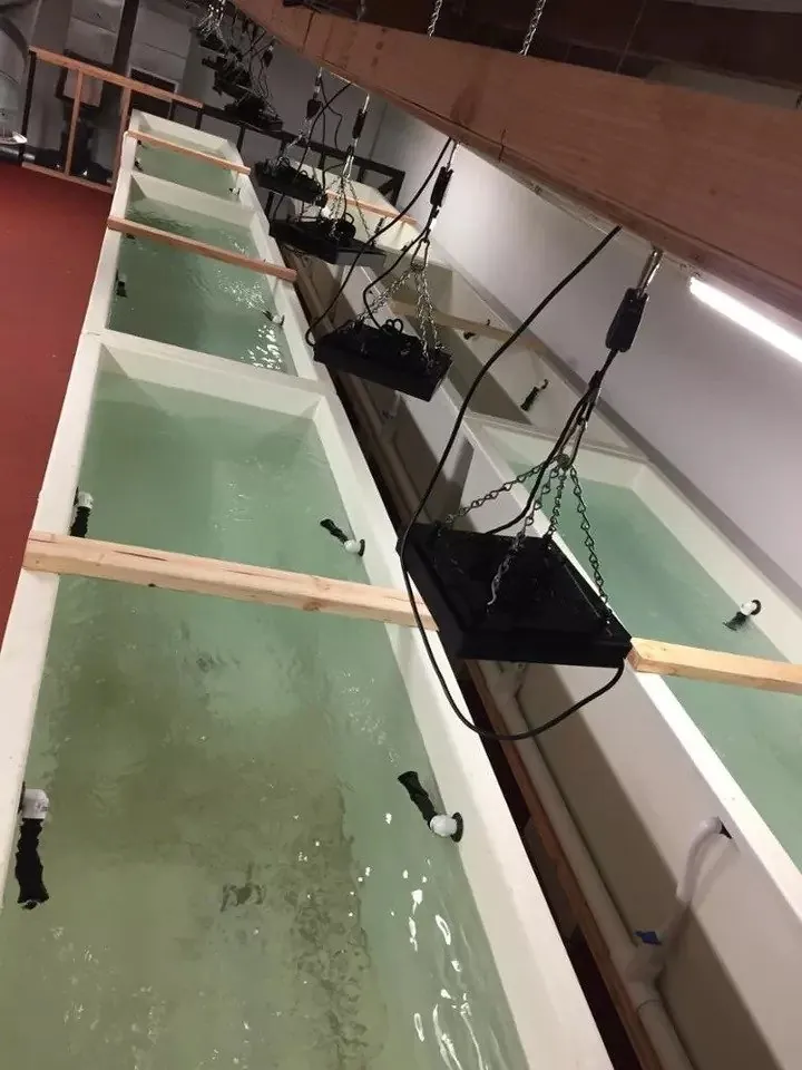 Frp fish tank