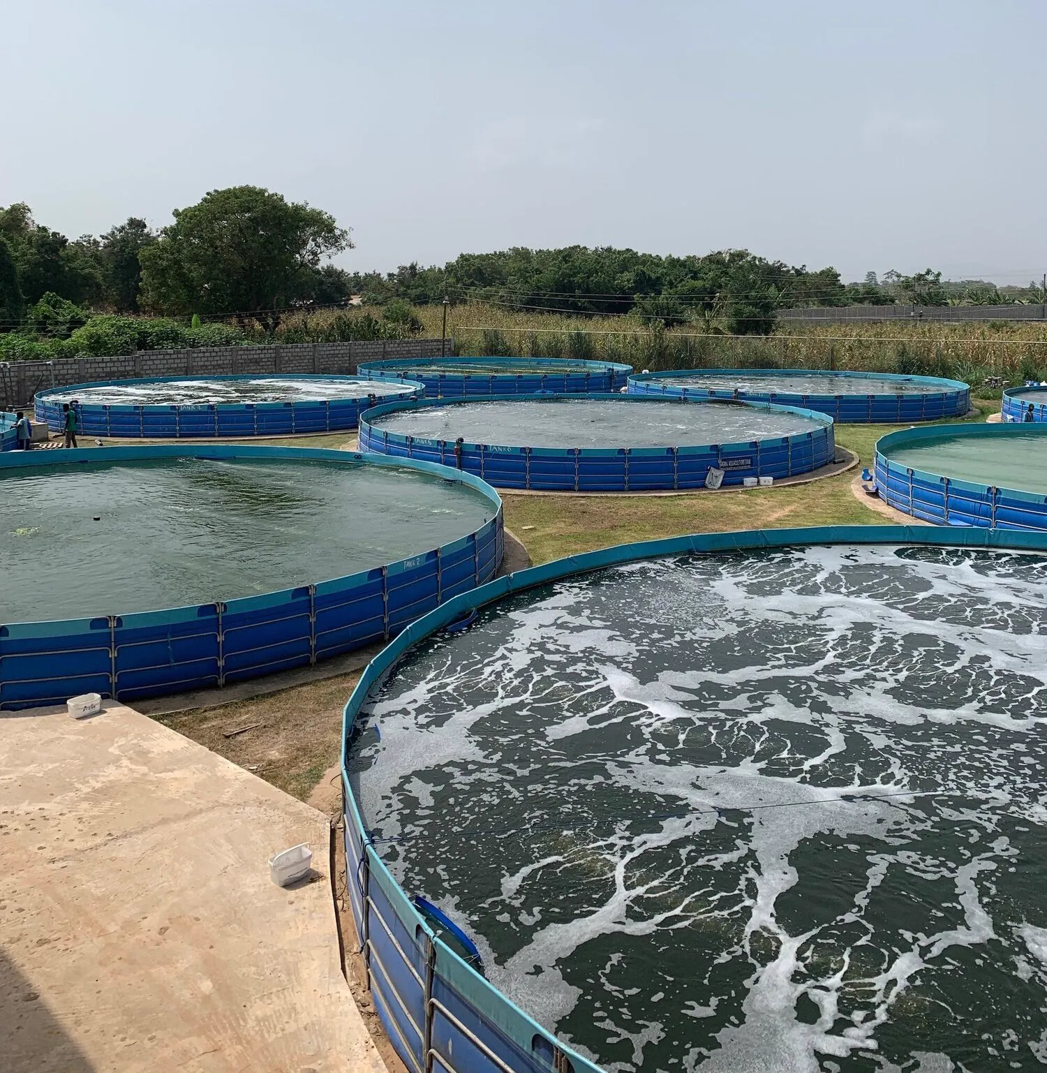 Biofloc Fish Farming Equipment