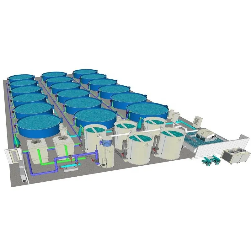 Ras system