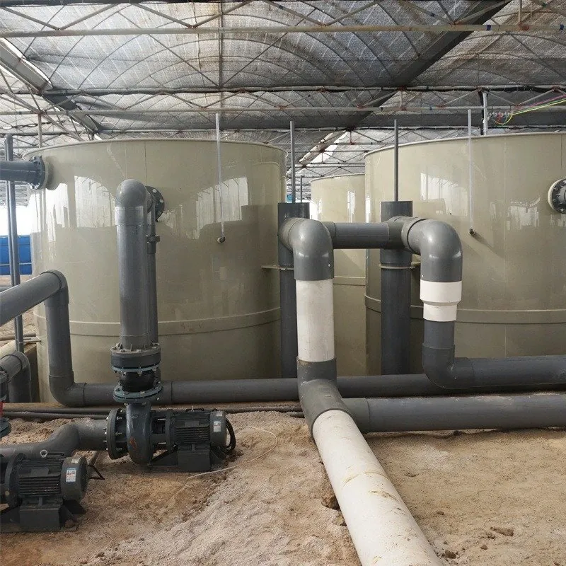 Ras system