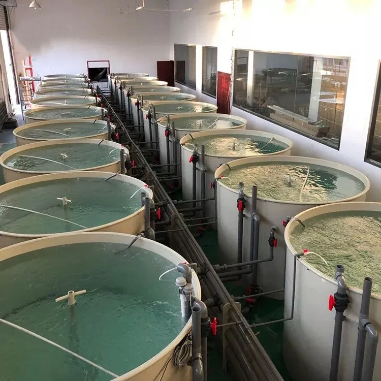 Ras system