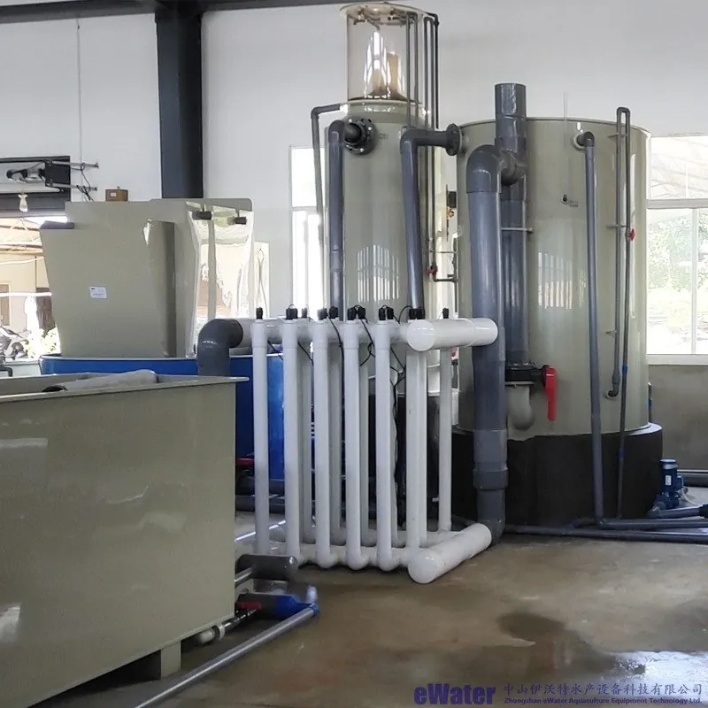 Ras system
