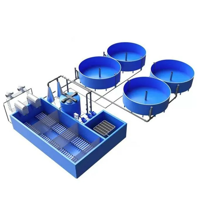 Ras system