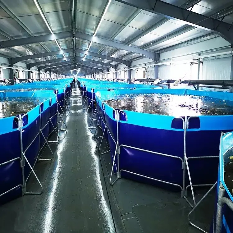 Rectangle aqua tank