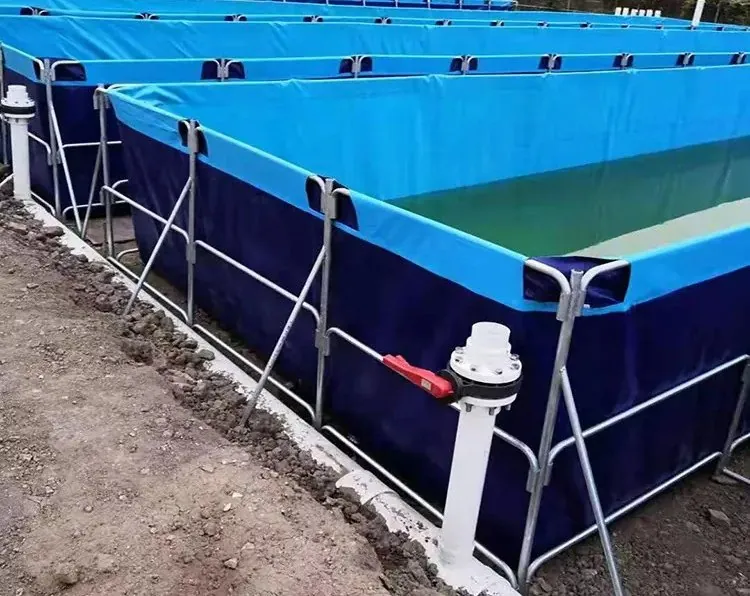 Rectangle fish tank