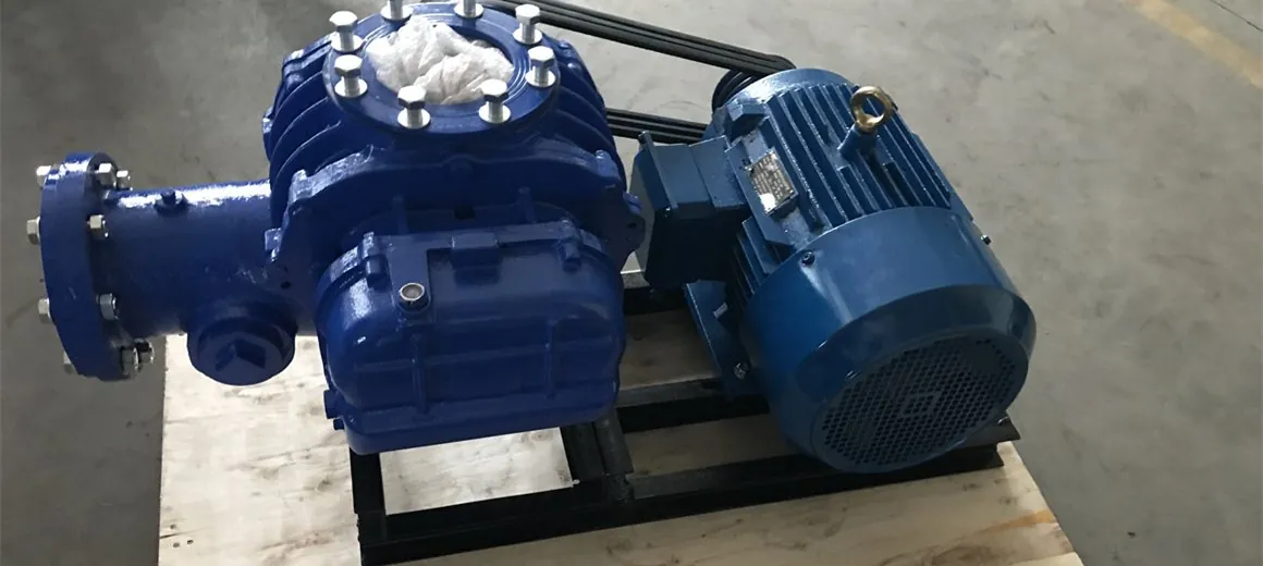Roots blower aeration for biofloc fish farming