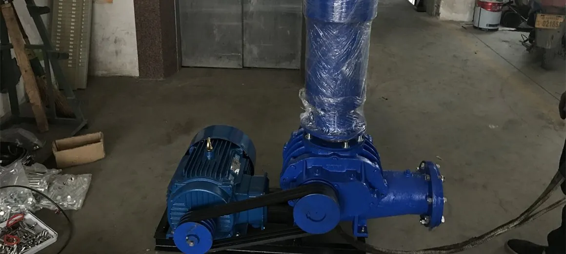 Roots blower for high-density catfish tank aeration