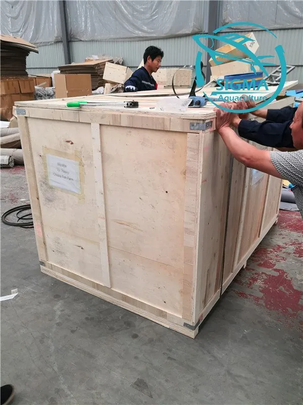 Super large fish tank export to mozambique