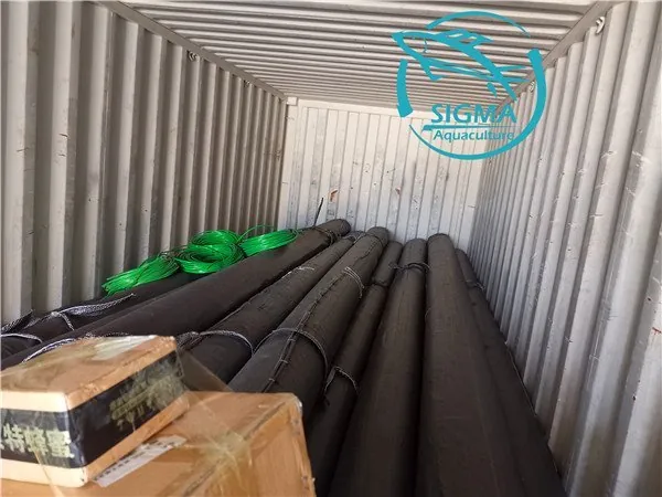Tilapia circular tank export to ghana