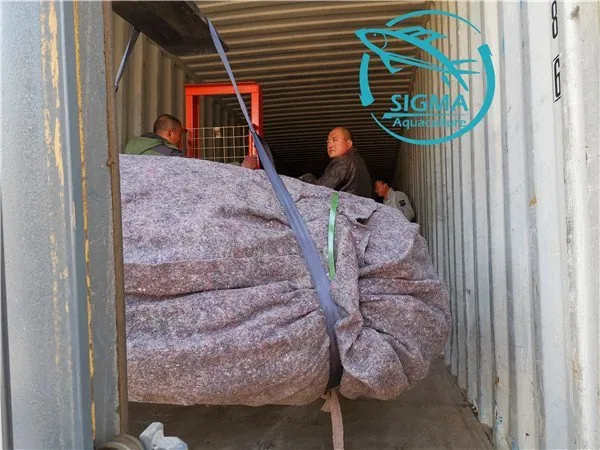 Tilapia circular tank export to ghana